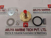 Asco 323471 Solenoid Sub-assembly Rebuild Kit 240/60Hz