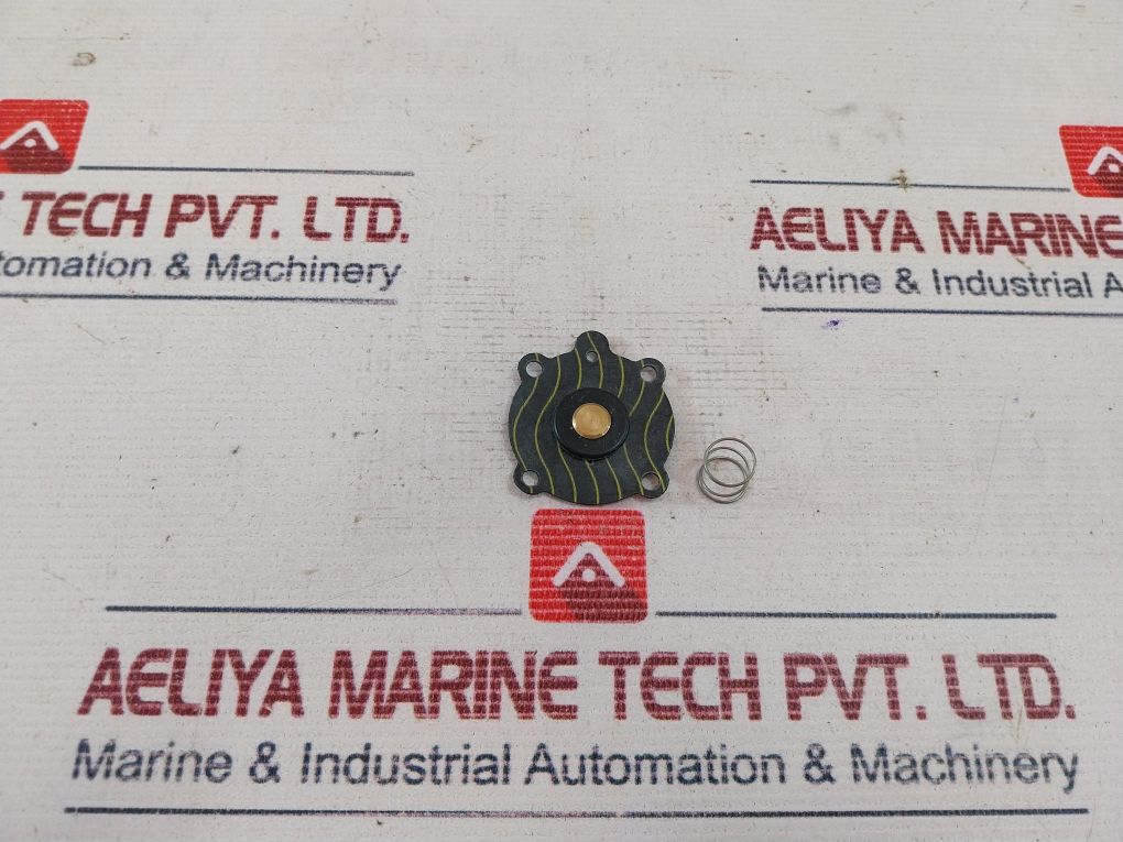 Asco C131600 Solenoid Valve Repair Kit