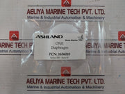 Ashland 0971-01-1 Overhaul Kit Series 200 Includes Oil Seals, Gasket, Spring
