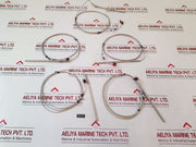 Autonics Pt100 Probe Sensor