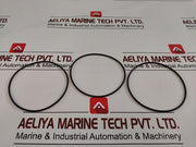 Lot Of 20X Det-Tronics 107427-040 O-Ring 90-5020-00997-Z