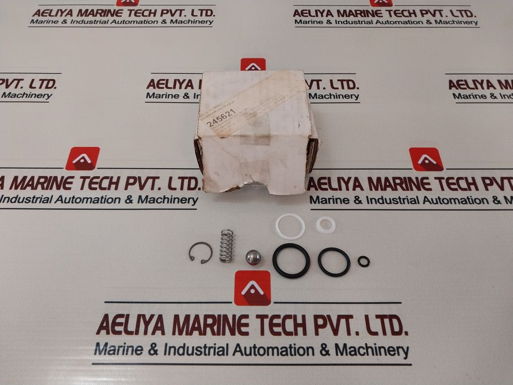 Axon 841980 Valve Repair Kit 22724