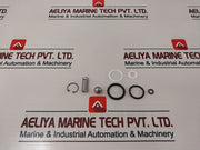 Axon 841980 Valve Repair Kit 22724