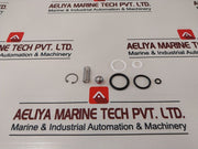 Axon 841980 Valve Repair Kit 22724