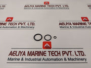 Axon 841980 Valve Repair Kit 22724