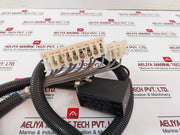 Beau 5412 Terminal Block Module With Cable