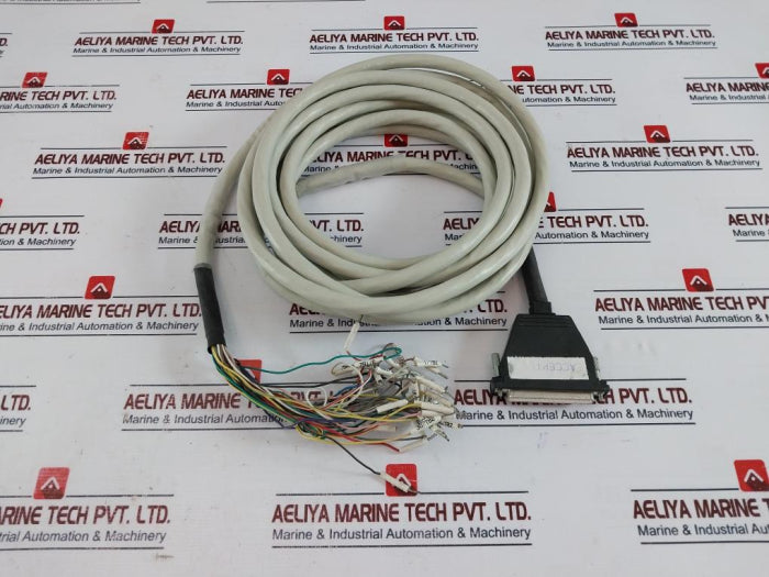 Belden Yj72364 Pvc/Pvc Instrumentation Cable 6 Meter