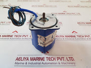 Bernard 5000008113 electric motor