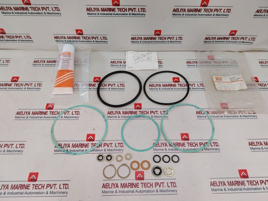 Bettis Cb725/Sr-11 Actuator Seal Kit