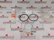 Bettis Cb725/Sr-11 Actuator Seal Kit