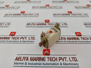 Bogenschutz Nh00 7999 Fuse Link Gl Gi 25A 500V