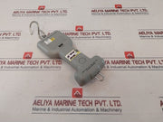 Brecknell Electro Samson Hanging Scales