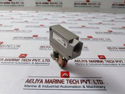 Burgess 441-0366 Limit Switch