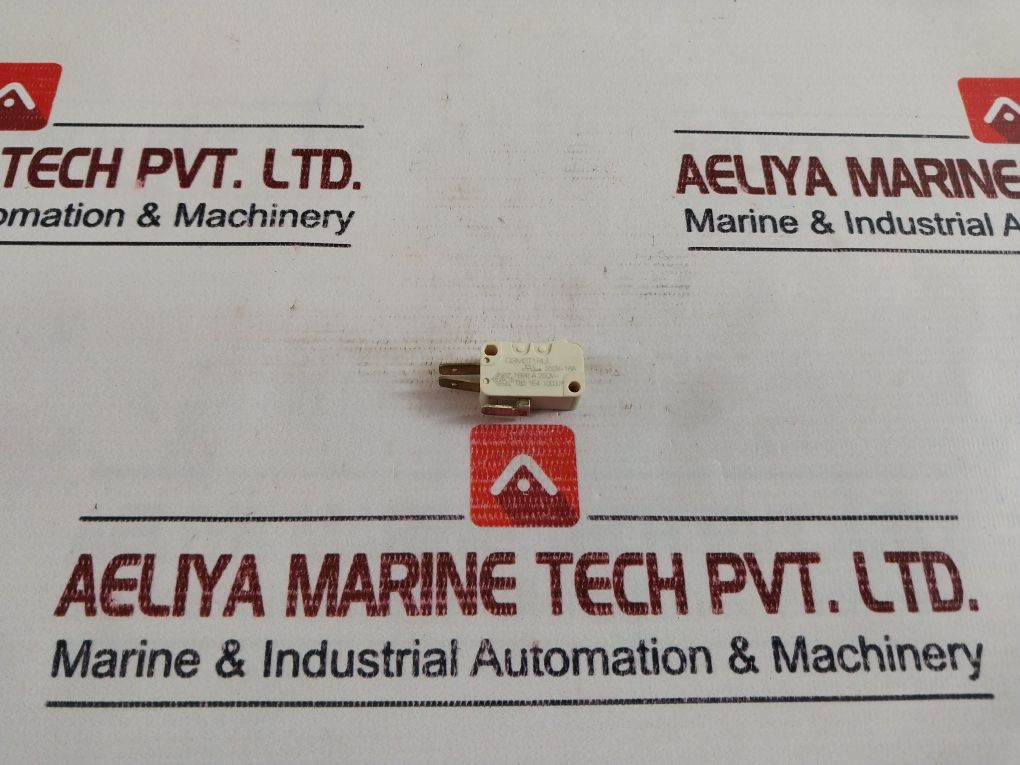 Burgess G3M3T1Rul Micro Switch 250V~16A
