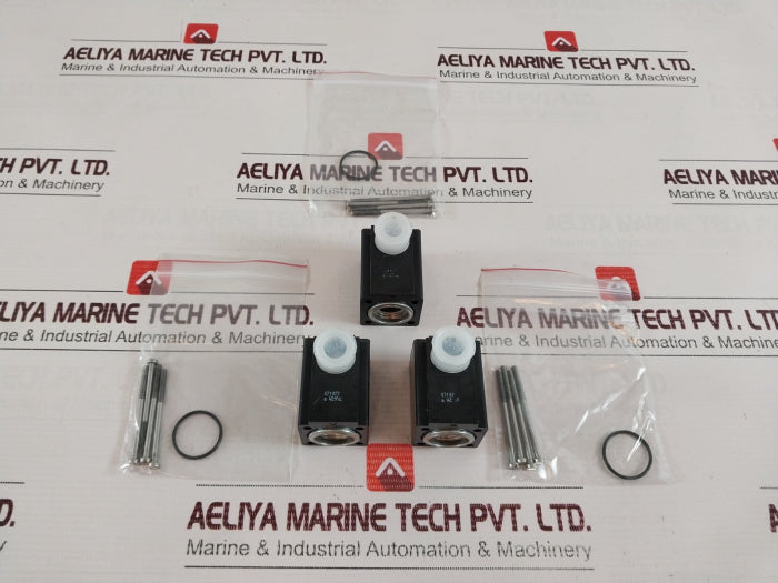 Burkert 0243-3174-202-00 24V 60Hz