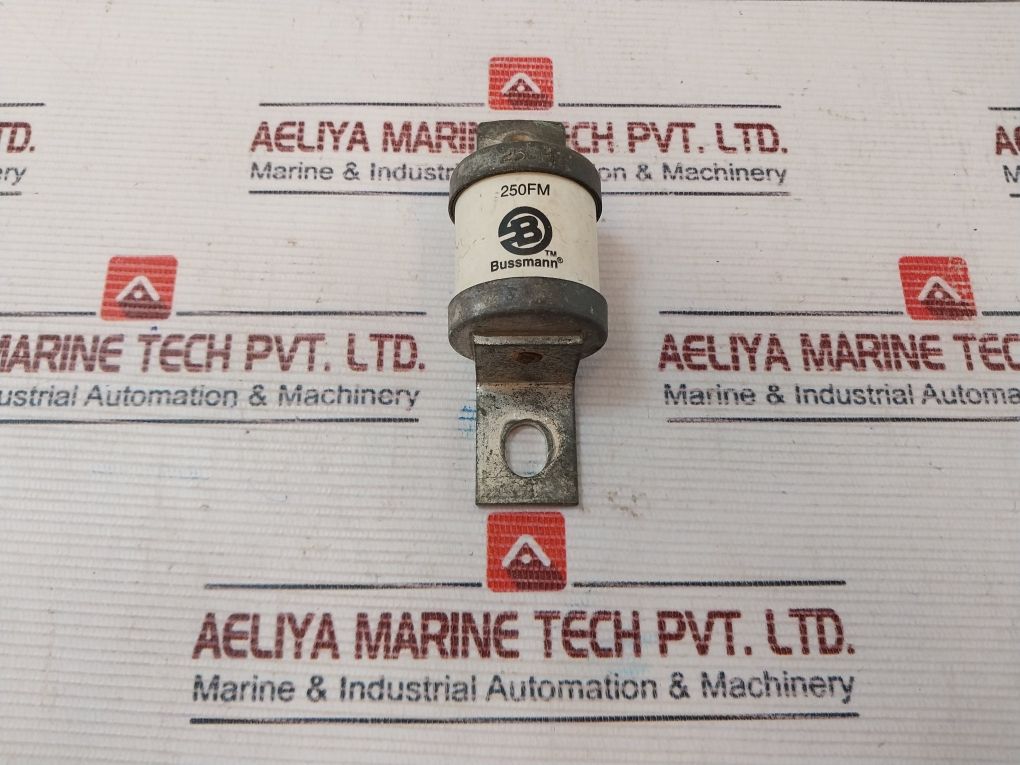 Bussmann 250Fm Fuse 250Amp 690-700V
