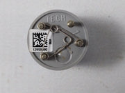 Bw Technologies D4-rhm04 Co/H2S Gas Sensor