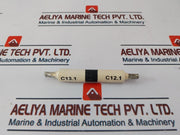 C13.1 C12.1 Fuse  