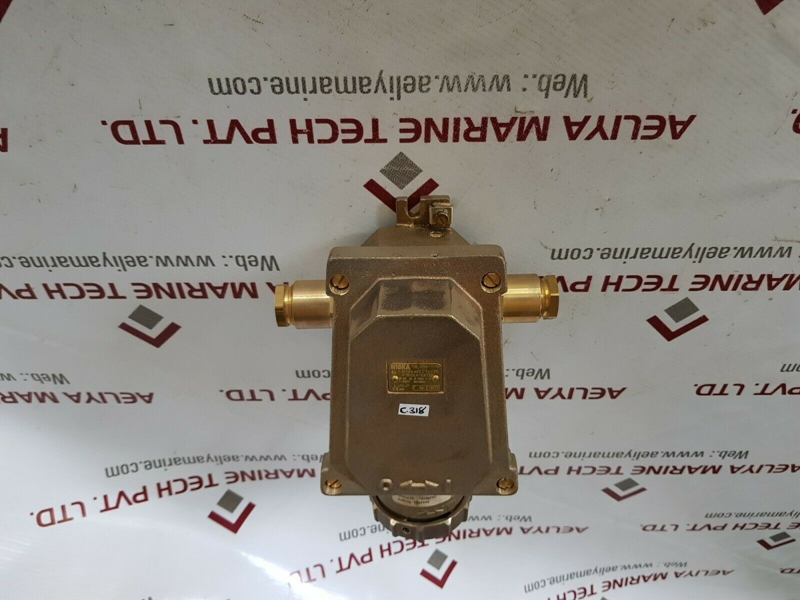 Wiska 5516/d/2a brass socket Ip66