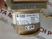 Wiska 5516/d/2a brass socket Ip66