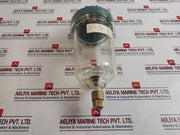 Calpeda Ar 1000E Automatic Air Feeder