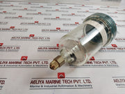 Calpeda Ar 1000E Automatic Air Feeder