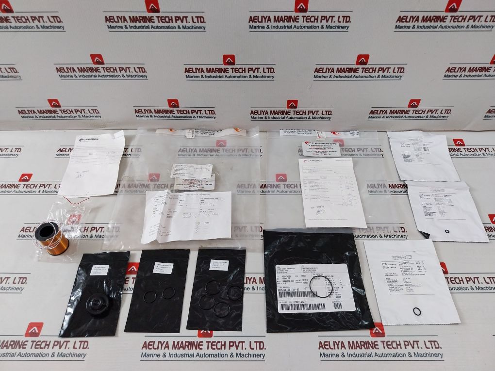 Cameron 2020810-01-88 Repair Kit With Coil 24V