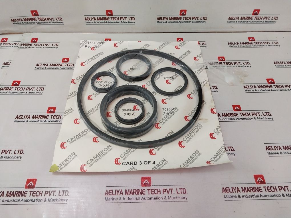 Cameron 2163135-01 Bonnets Seal Repair Kit C143-644356-02 Rev 02