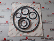 Cameron 2163135-01 Seal Repair Kit