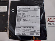 Cameron 2185188-31-99 Drg Valve Repair Kit