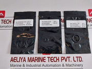 Cameron 2185188-31-99 Drg Valve Repair Kit