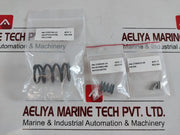 Cameron 2185188-31-99 Drg Valve Repair Kit