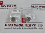 Cameron 2185188-31-99 Drg Valve Repair Kit