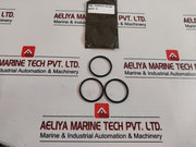 Cameron 2185610-04-99 O-ring Valve Repair Kit 2185018-00-08