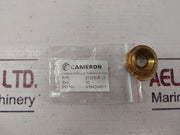 Cameron 2185818-13 Repair Valve Rev 02