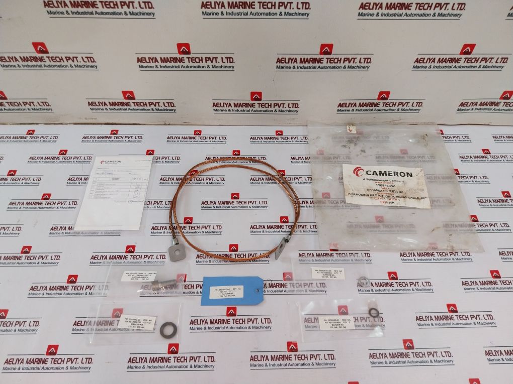 Cameron 2364882-06 Corrosion Pro Kit Rev 02