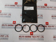 Cameron 2390581-01-99 Seal Ring Repair Kit 2185238-02 Rev. 01