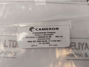 Cameron 2406436-31-88 1/4â€ Drg Seal Valve Repair Kit 2391050-02