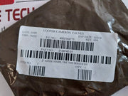 Cameron J025177-10274 Gate Valve Repair Kit Rev. A04 J024983-107 J001913