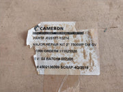 Cameron J025177-10274 Gate Valve Repair Kit Rev. A04 J024983-107 J001913