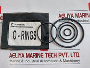 Cameron J025177-10274 Gate Valve Repair Kit Rev. A04 J024983-107 J001913