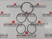 Cameron Wkm20672440443 Stem Bearing Seal Cover Plate O-ring Service Kit