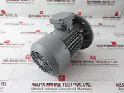 Cantoni Motor Mskh80B-4 Electric Motor