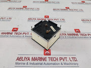 Carlo Gavazzi 0-100% Megaohm Meter 1 Ma