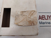 Carlo Gavazzi S105 166 924 Timer