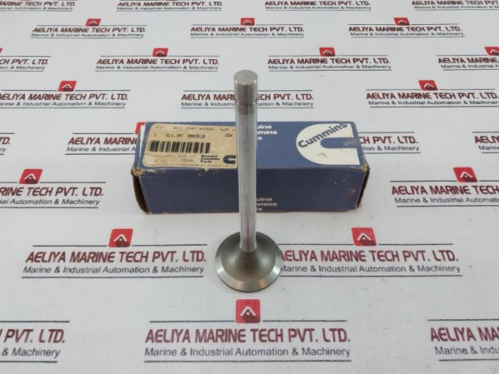Cummins 3052820 Insert Valve, 3803518