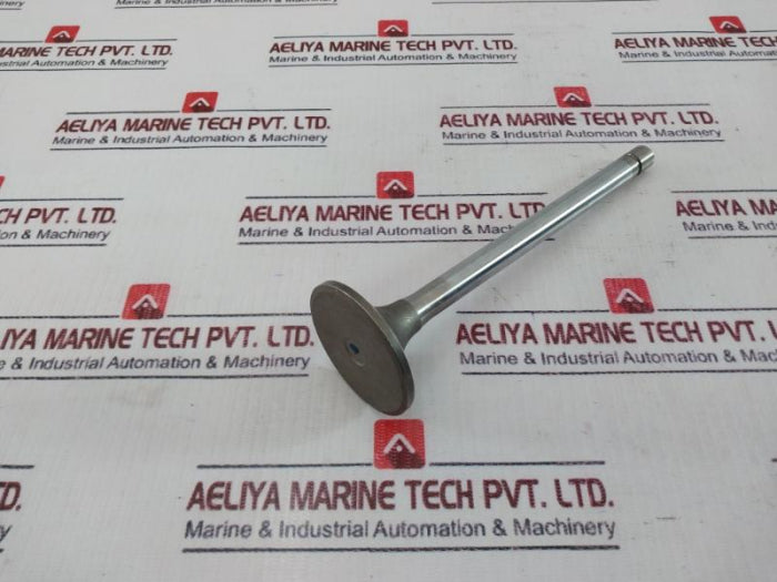 Cummins 3052820 Insert Valve, 3803518