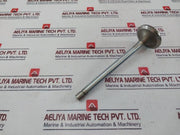 Cummins 3052820 Insert Valve, 3803518