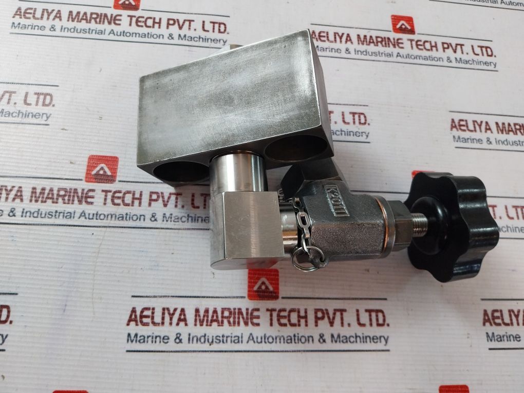 D27450 Indicator Valve Complete Valv.0110.001