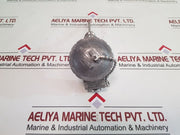 Dae Yang Meiyo Ttr-ln Resistance Bulb 200°C